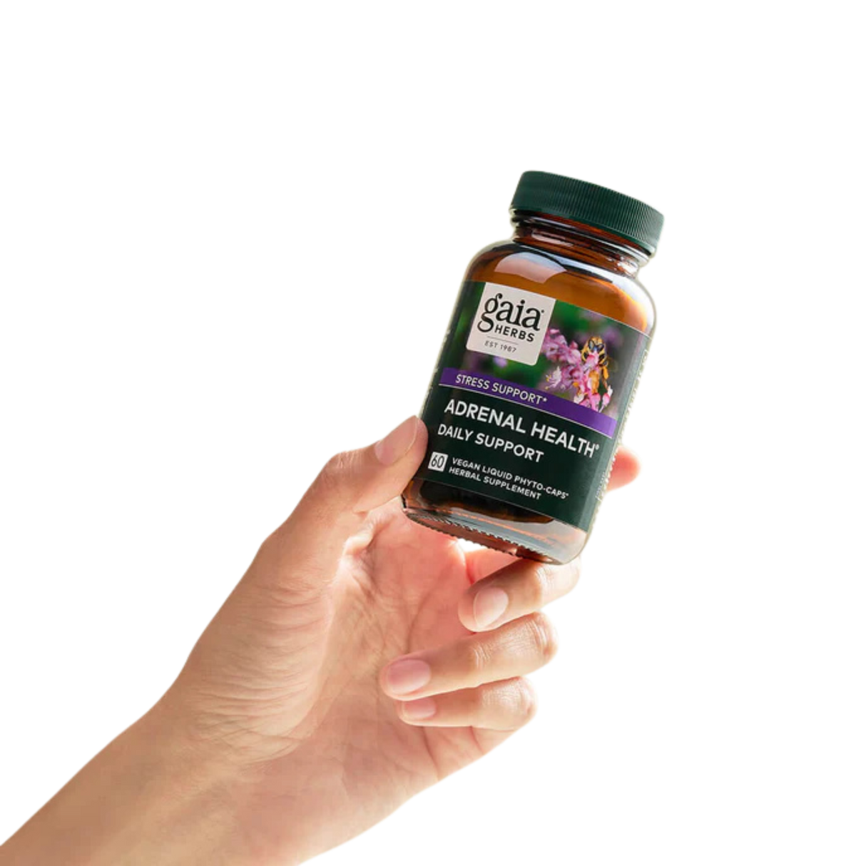 Adrenal Health Daily Support 60 cápsulas – Gaia Herbs