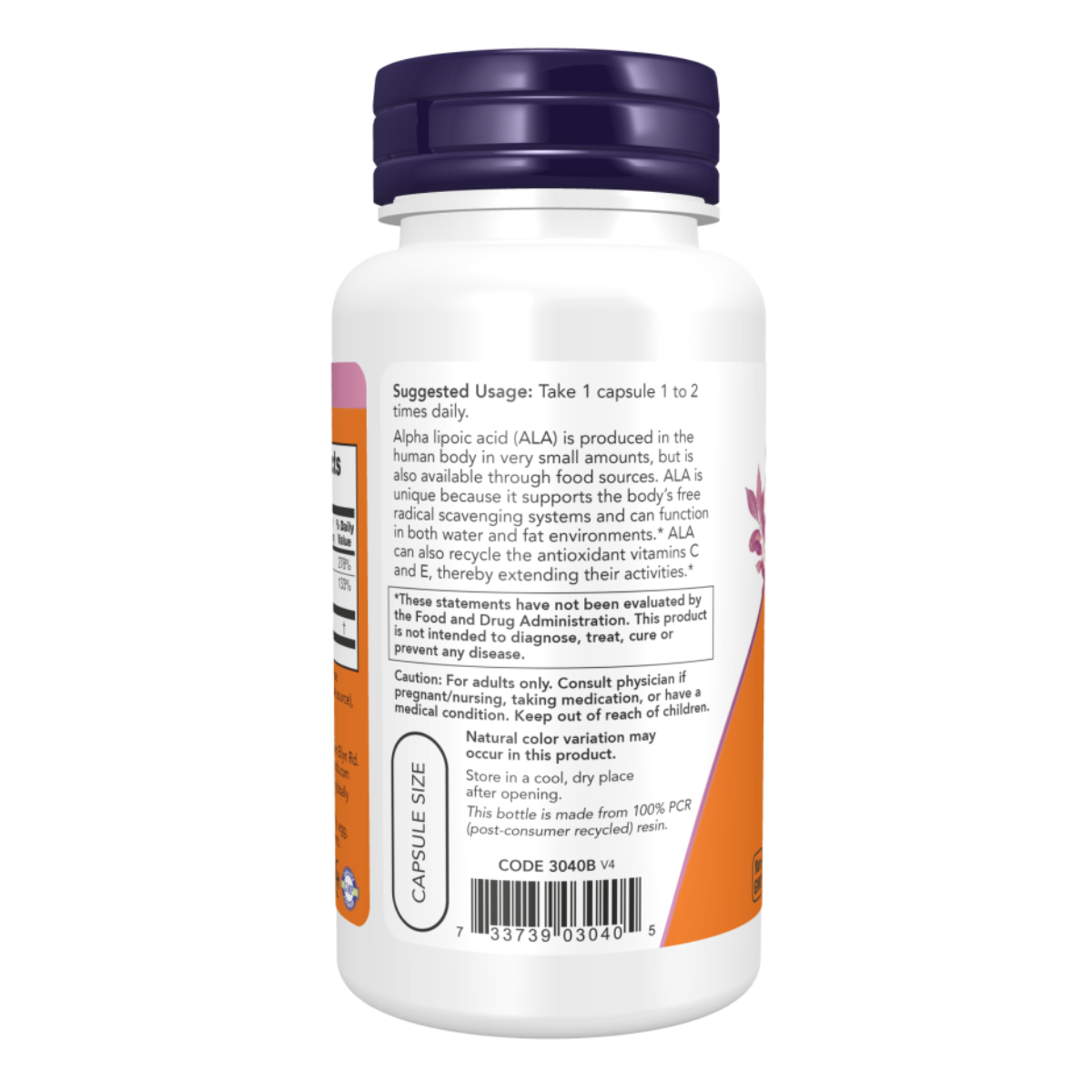 Alpha Lipoic Acid 100mg 60vcap - Now Foods