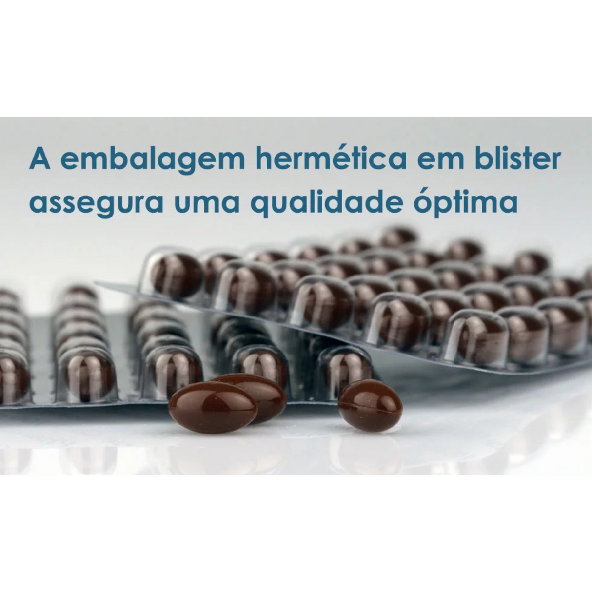 BioActivo Quinona Q10 30mg 60cap - Pharma Nord