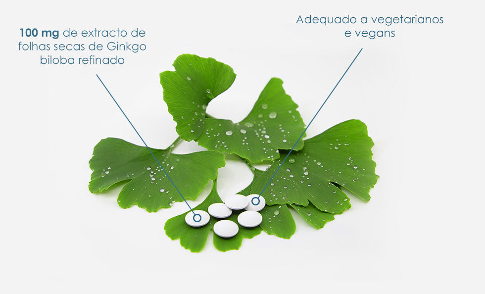 BioActivo Biloba Forte 100mg 150cap - Pharma Nord