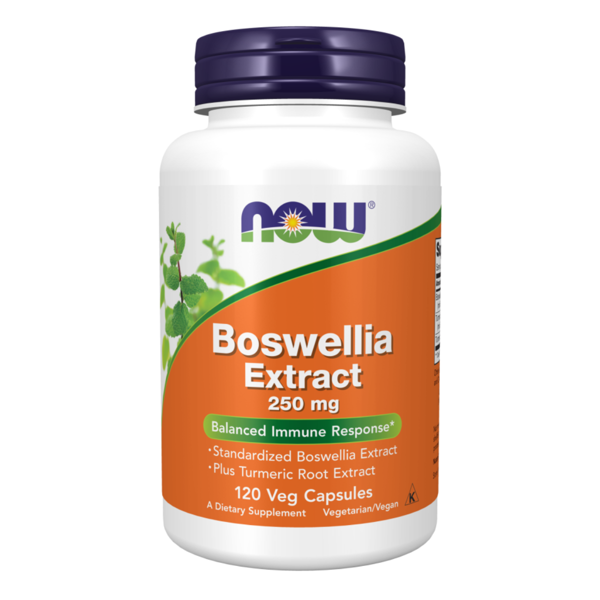 Boswellia Extract 250mg 120vcap - Now Foods