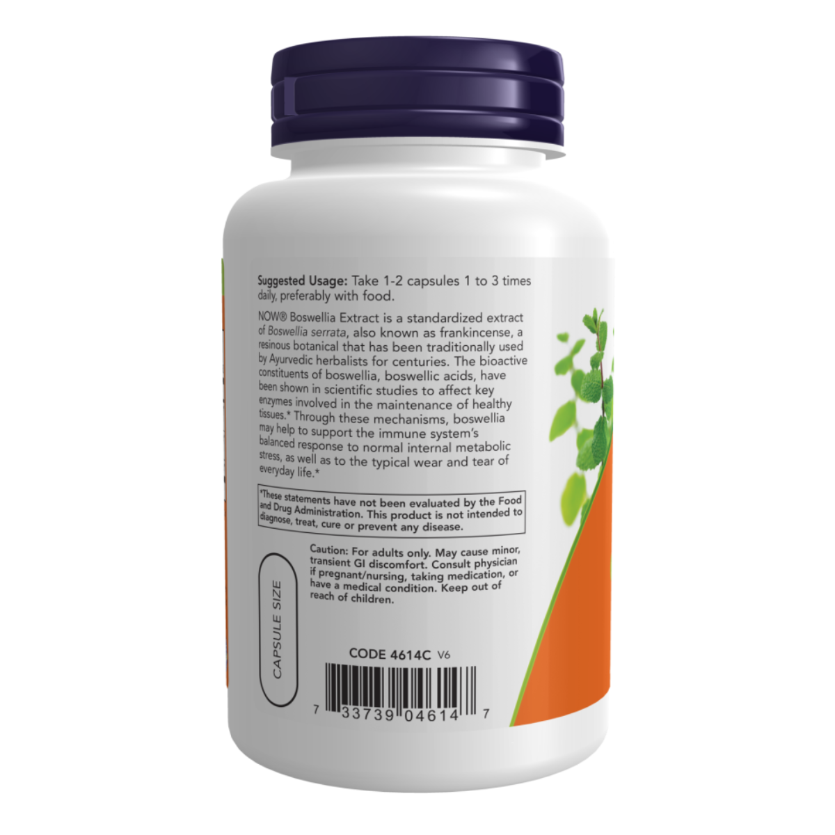 Boswellia Extract 250mg 120vcap - Agora Alimentos