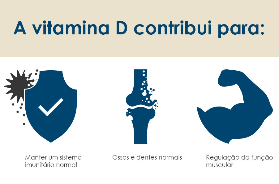 BioActivo Vitamina D Forte + 100 µg - Pharma Nord