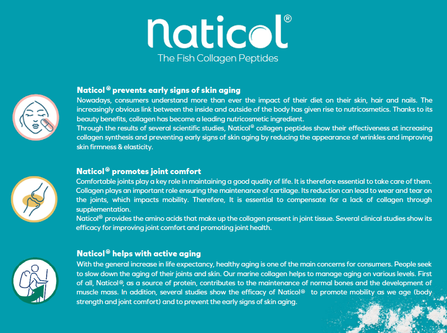 Pro Recovery Protein 500g - Salengei