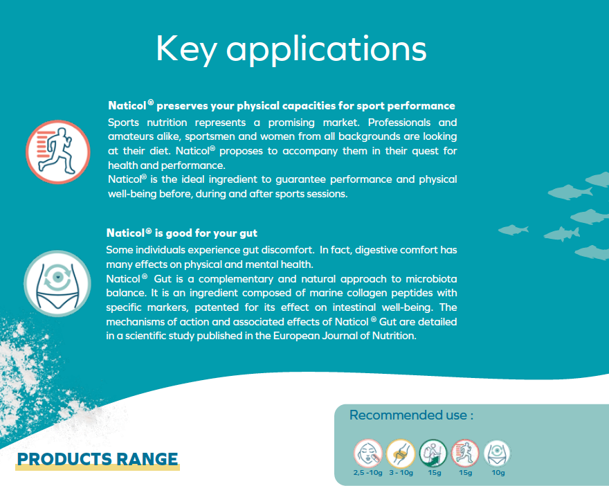 Pro Recovery Protein 500g - Salengei