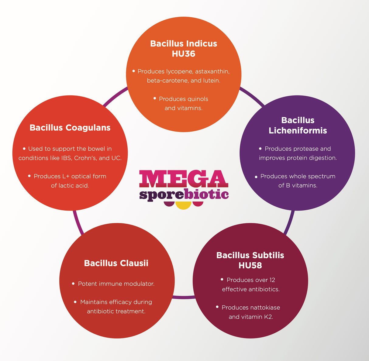 Mega Sporebiotic 60cap - Microbiome Labs