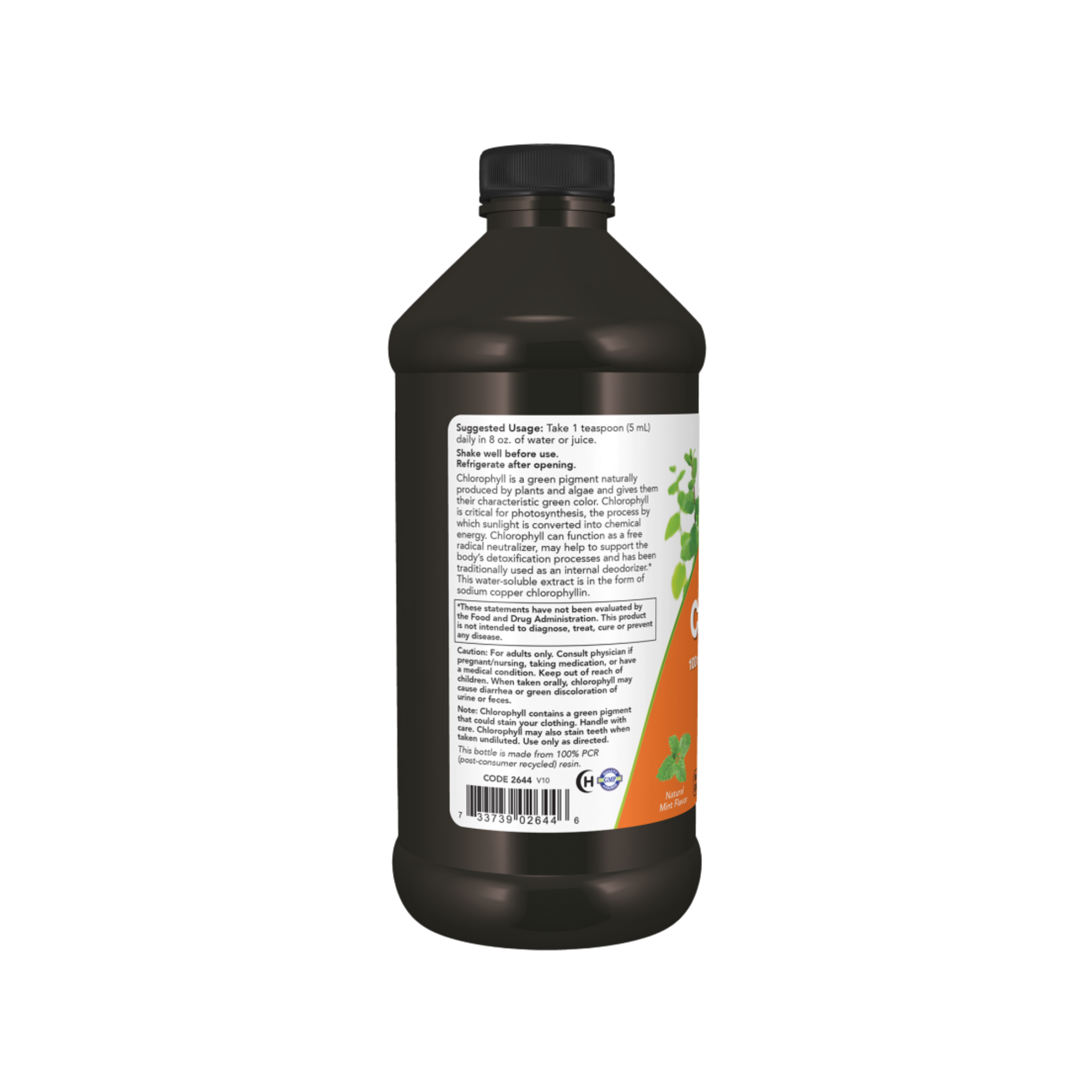 Chlorophyll Liquid Mint 473ml – Now Foods