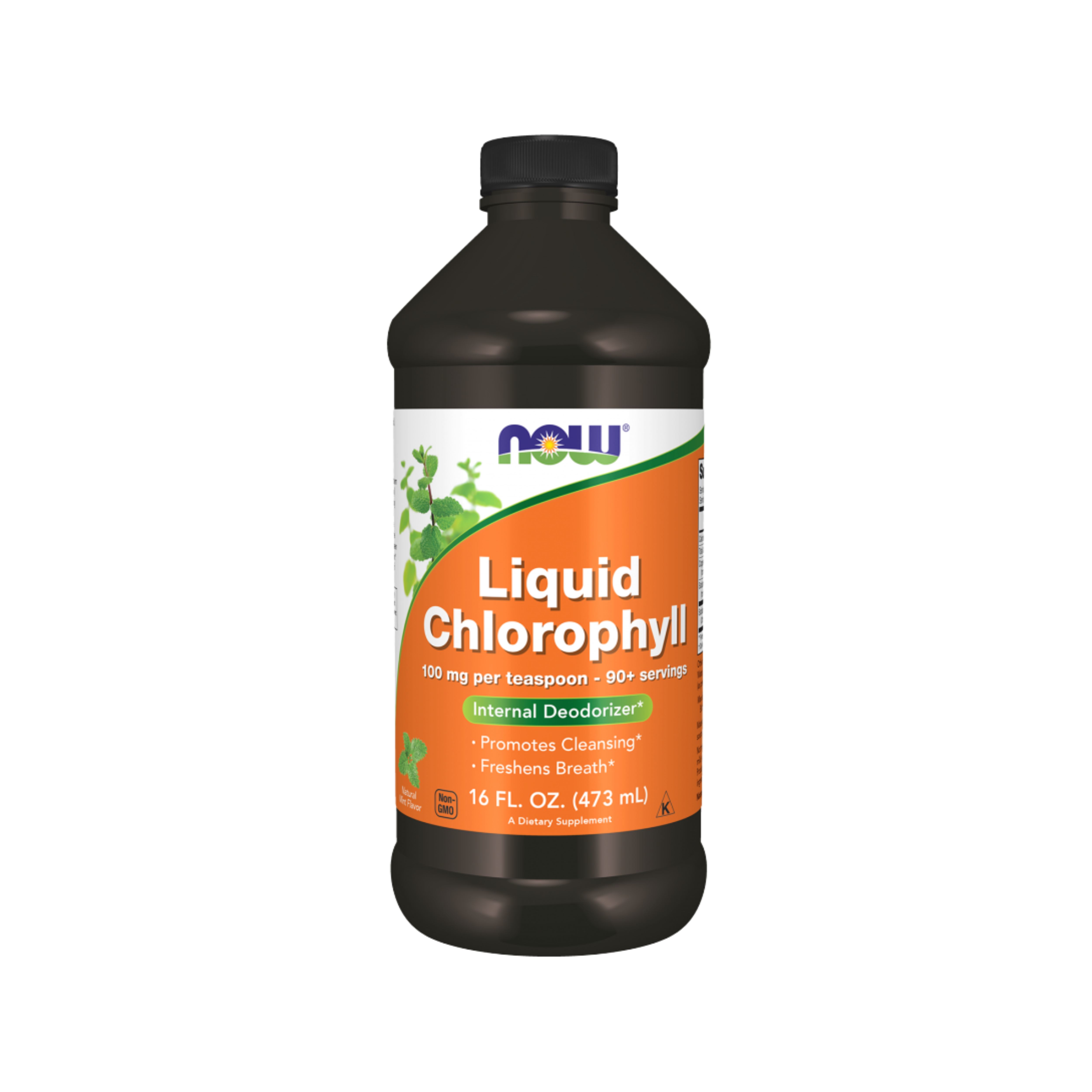 Chlorophyll Liquid Mint 473ml – Now Foods