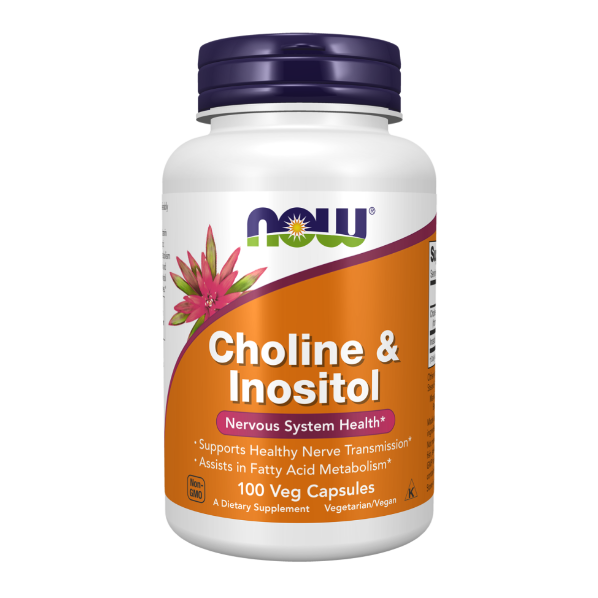 Choline & Inositol 100vcap Now Foods