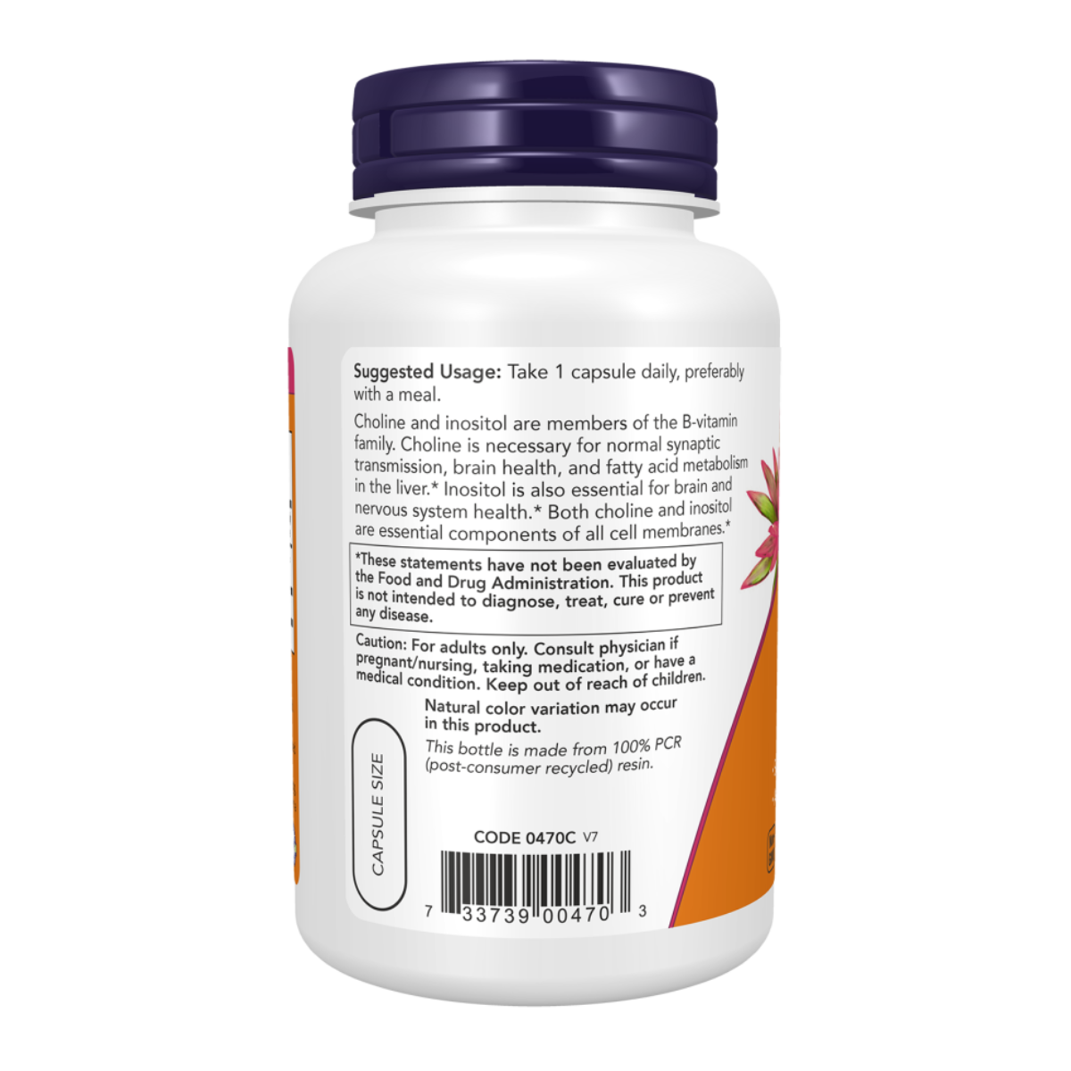 Choline & Inositol 100vcap - Now Foods