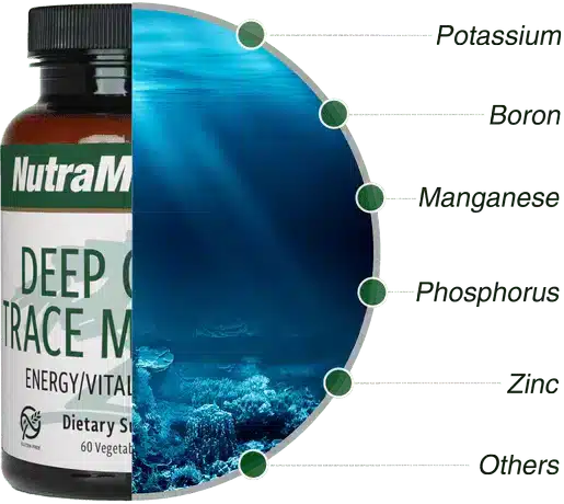 Deep_Ocean_Trace_Minerals_60vcap_Nutramedix_4.webp