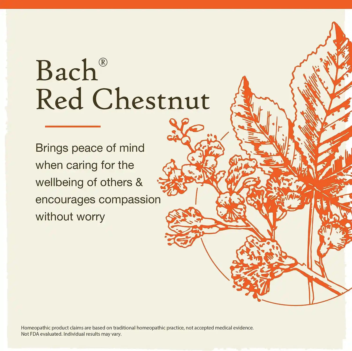 Floral-Red-Chestnut-2.webp