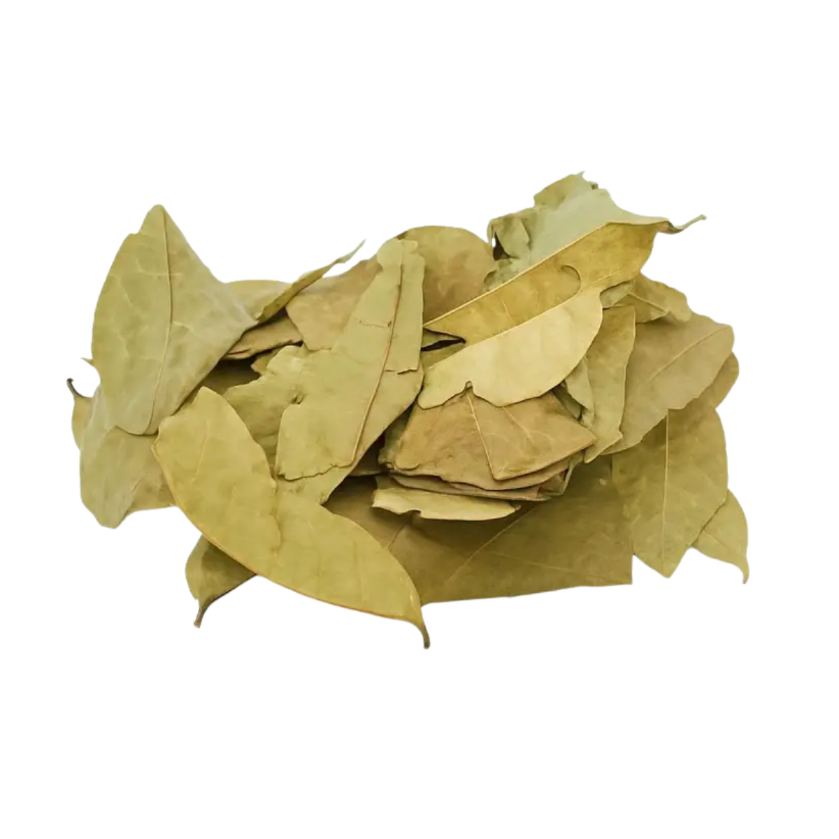 Graviola Folhas (Annona Muricata) 50g - Chás de Mundo