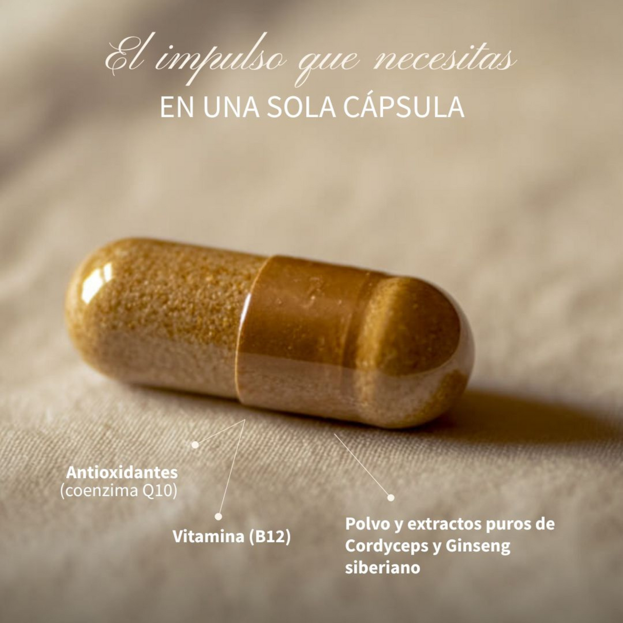 Hifas Vitality 60caps – Hifas da Terra