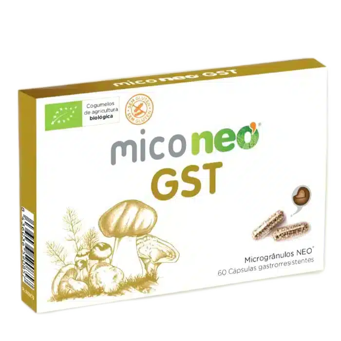 Mico-NEO-gst.webp