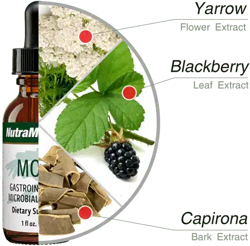 Mora_NutraMedix_ingredients_1.png.webp