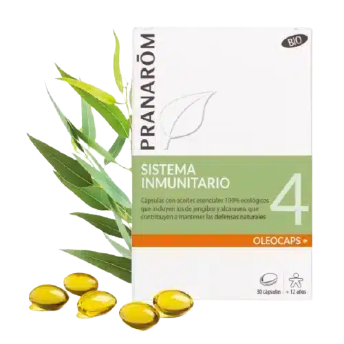 OLEOCAPS-4-Sistema-Imunitario.webp