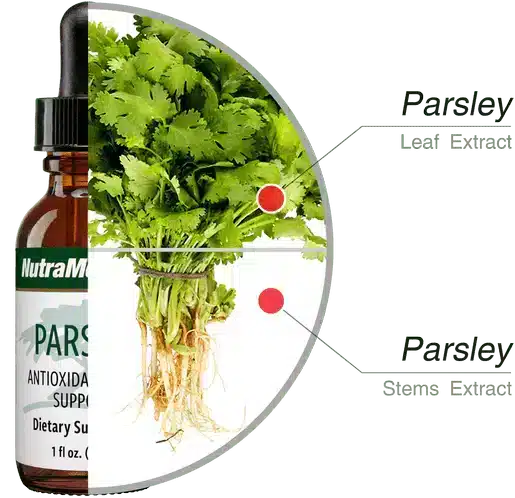 Parsley_30ml_Nutramedix_4.webp