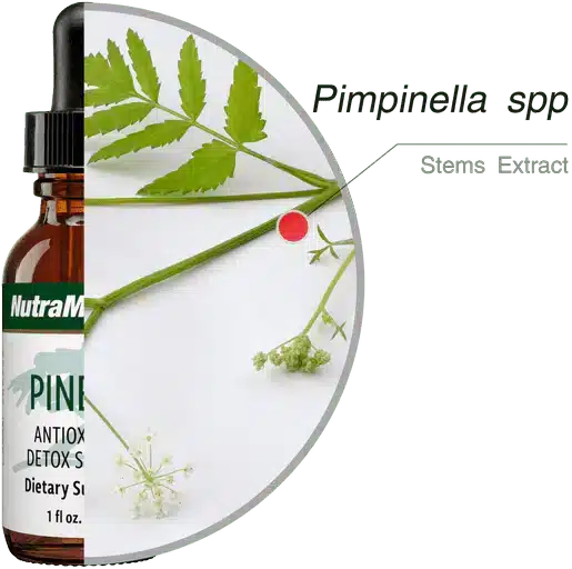 Pinella_30ml_Nutramedix_4.webp