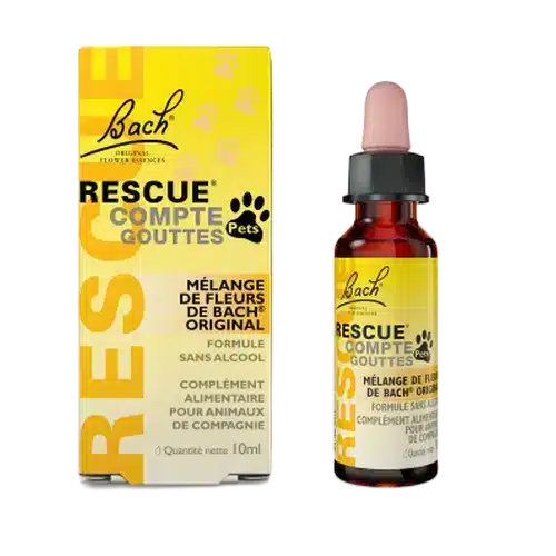REscue-Kids.webp