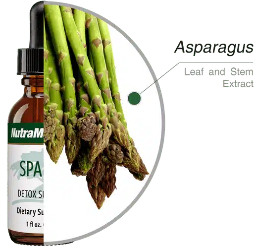 Sparga_30ml_Nutramedix_3.webp