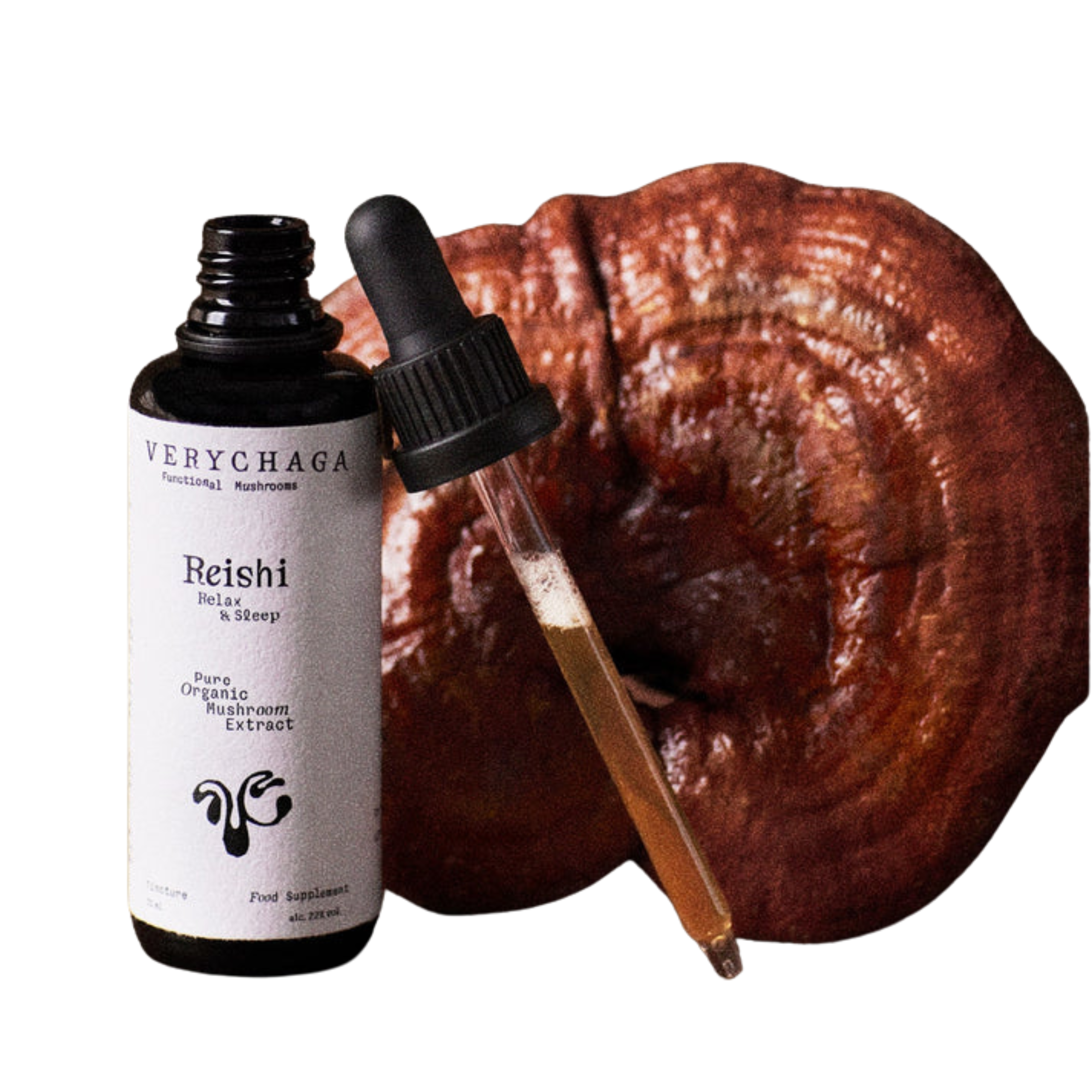 Extrato Puro de Reishi 50ml – VeryChaga