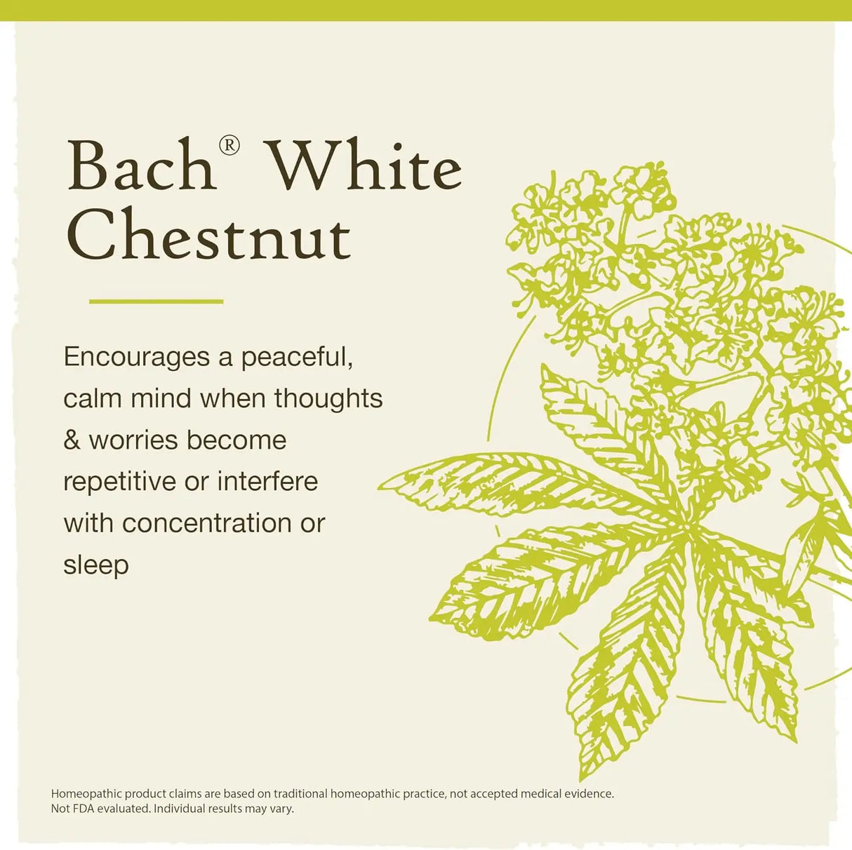 White Chestnut 20ml - Floral Bach