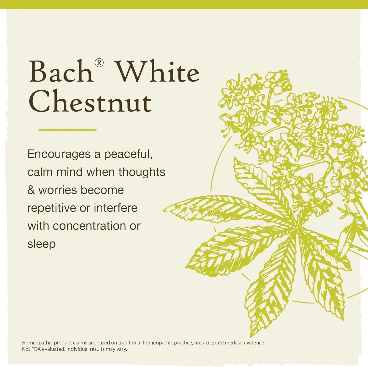 White Chestnut 20ml - Floral Bach
