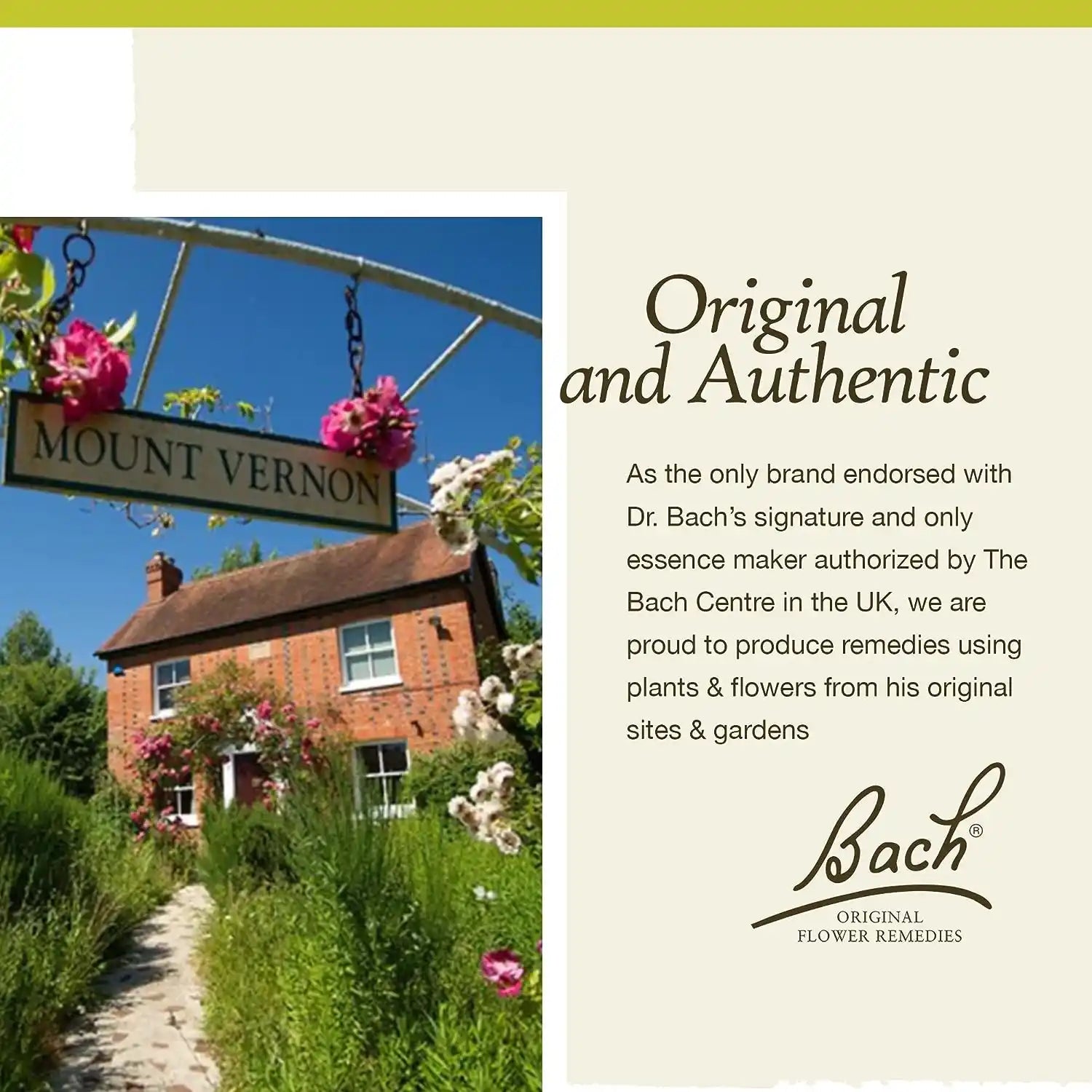 White Chestnut 20ml - Floral Bach