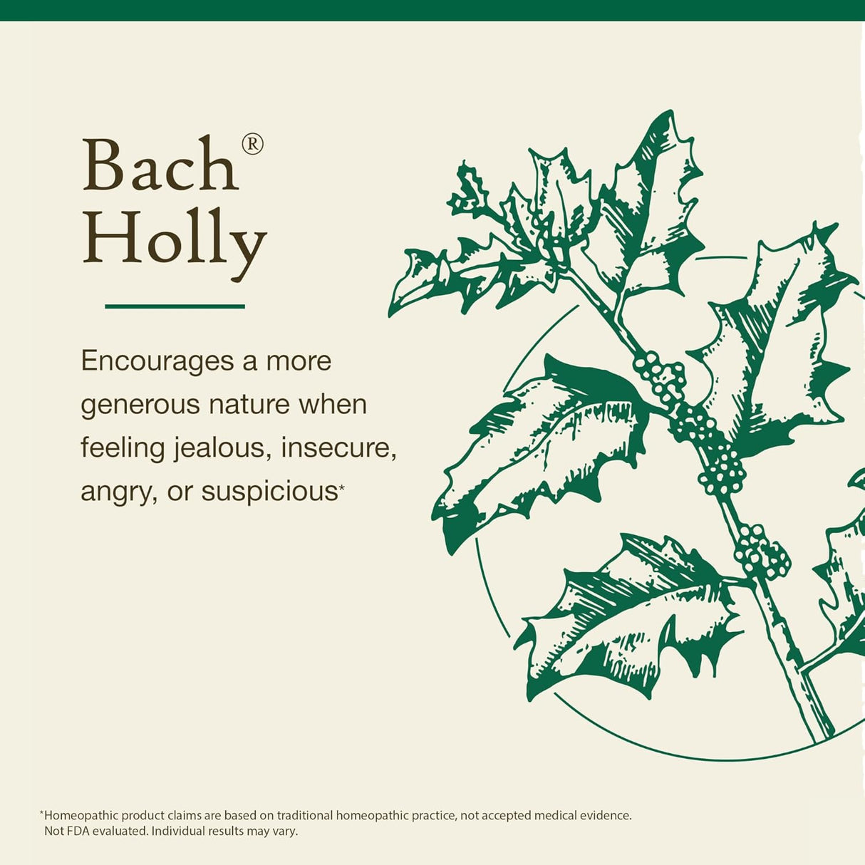 Holly 20ml - Floral Bach