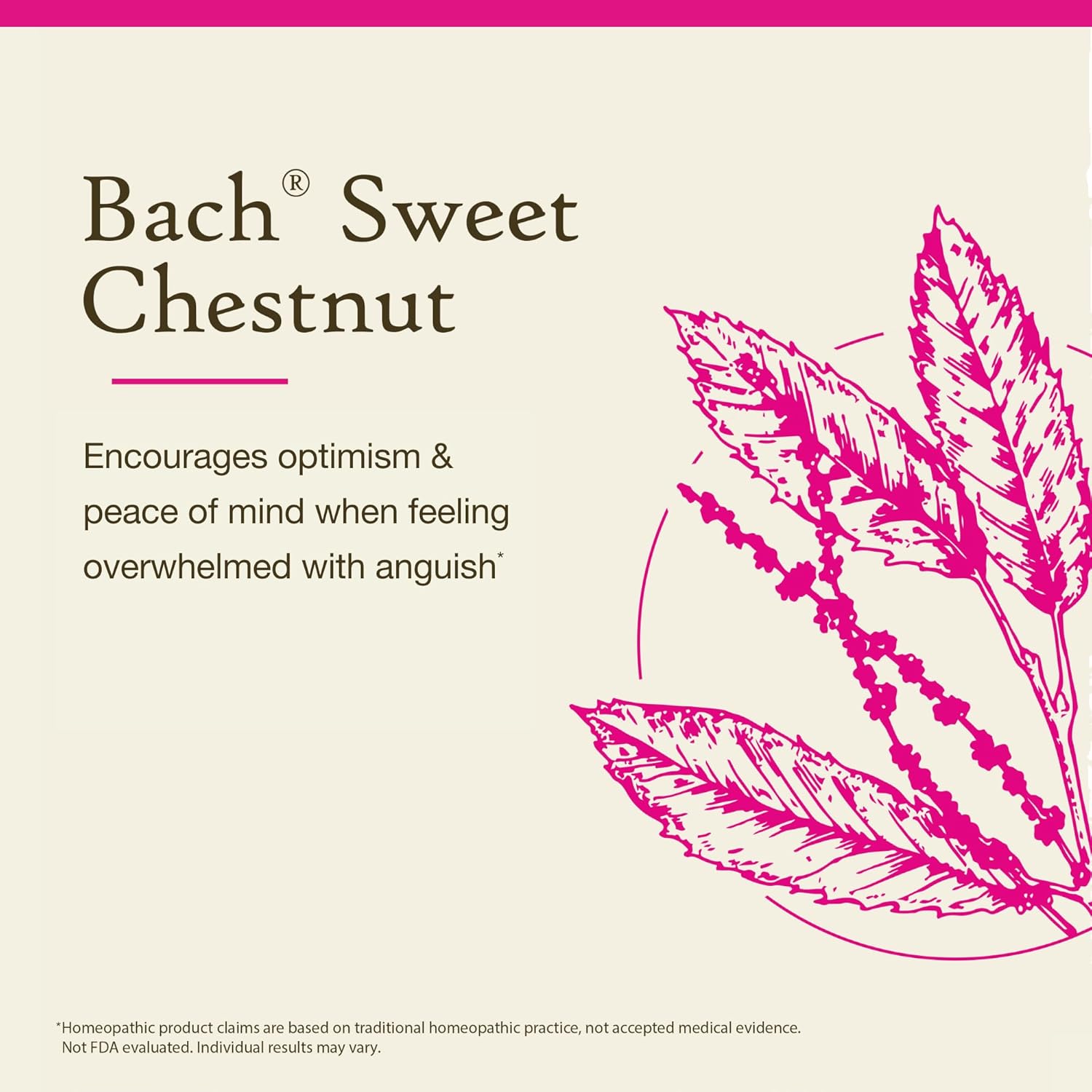 Sweet Chestnut 20ml - Floral Bach