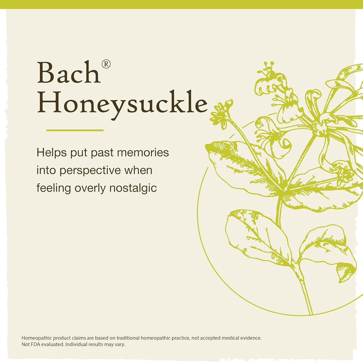Honeysuckle 20ml - Floral Bach
