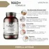 NAD+ 300mg 60cap - Webotanix