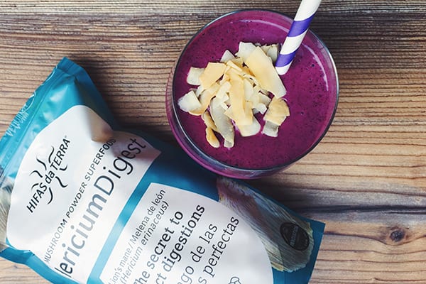 Hericium Digest Lion's Mane 100g - Hifas da Terra