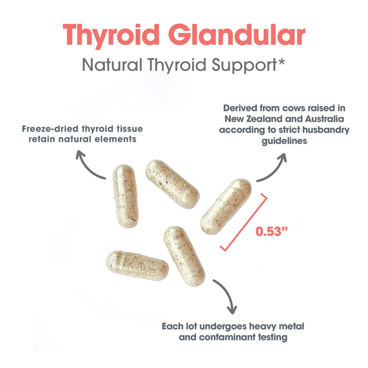 Thyroid Natural Glandular 100vcap - Allergy Research