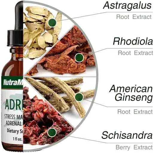 Adrenal-30ml-Nutramedix-5.webp