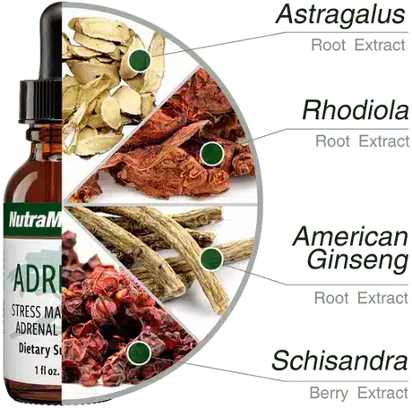 Adrenal-30ml-Nutramedix-5.webp