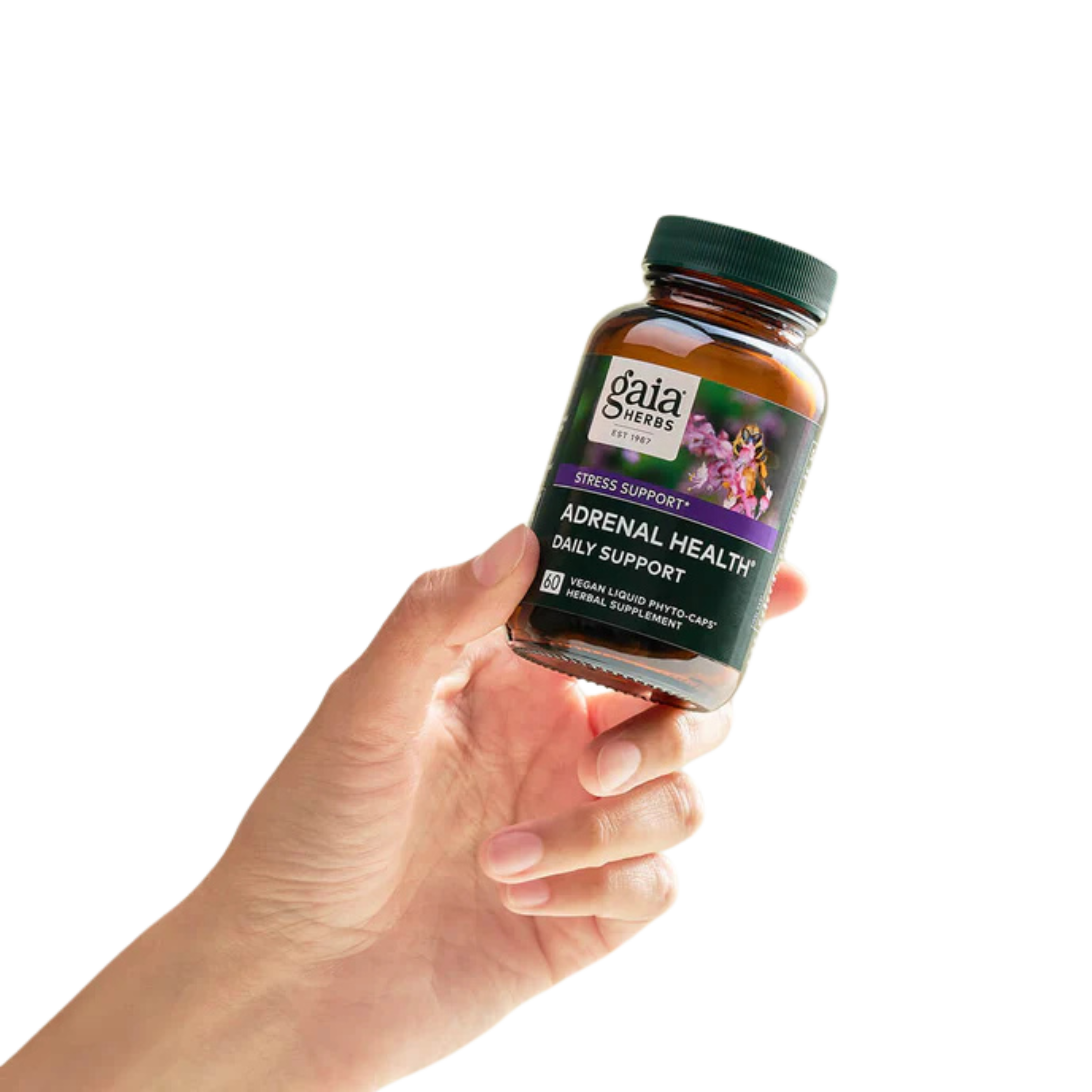 Adrenal Health &nbsp;Daily Support 60 cápsulas – Gaia Herbs