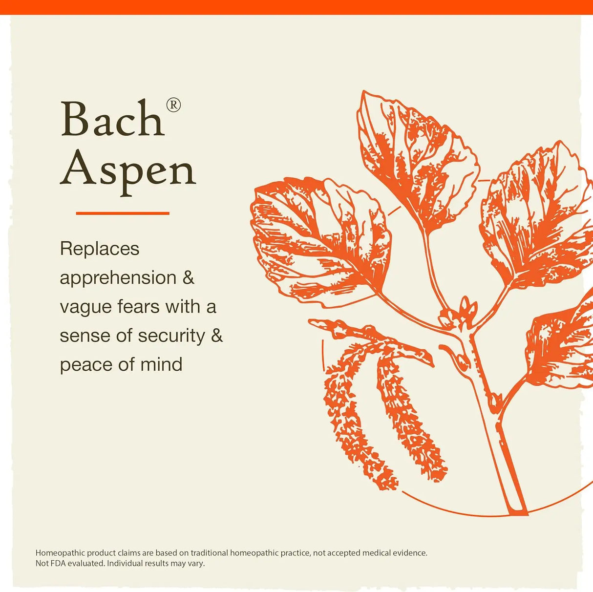 Aspen-3.webp