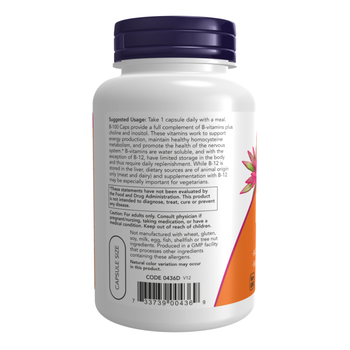 B-100 100vcap - Now Foods