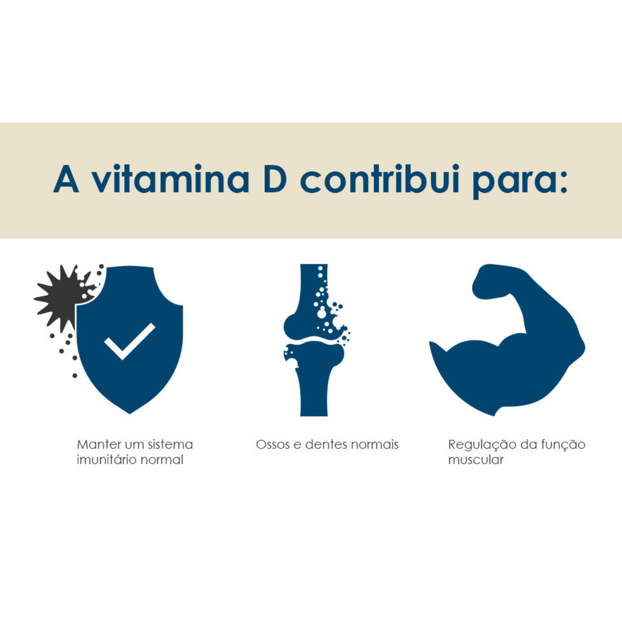 BioActivo D-Pearls® Phyto 80cap - Pharma Nord