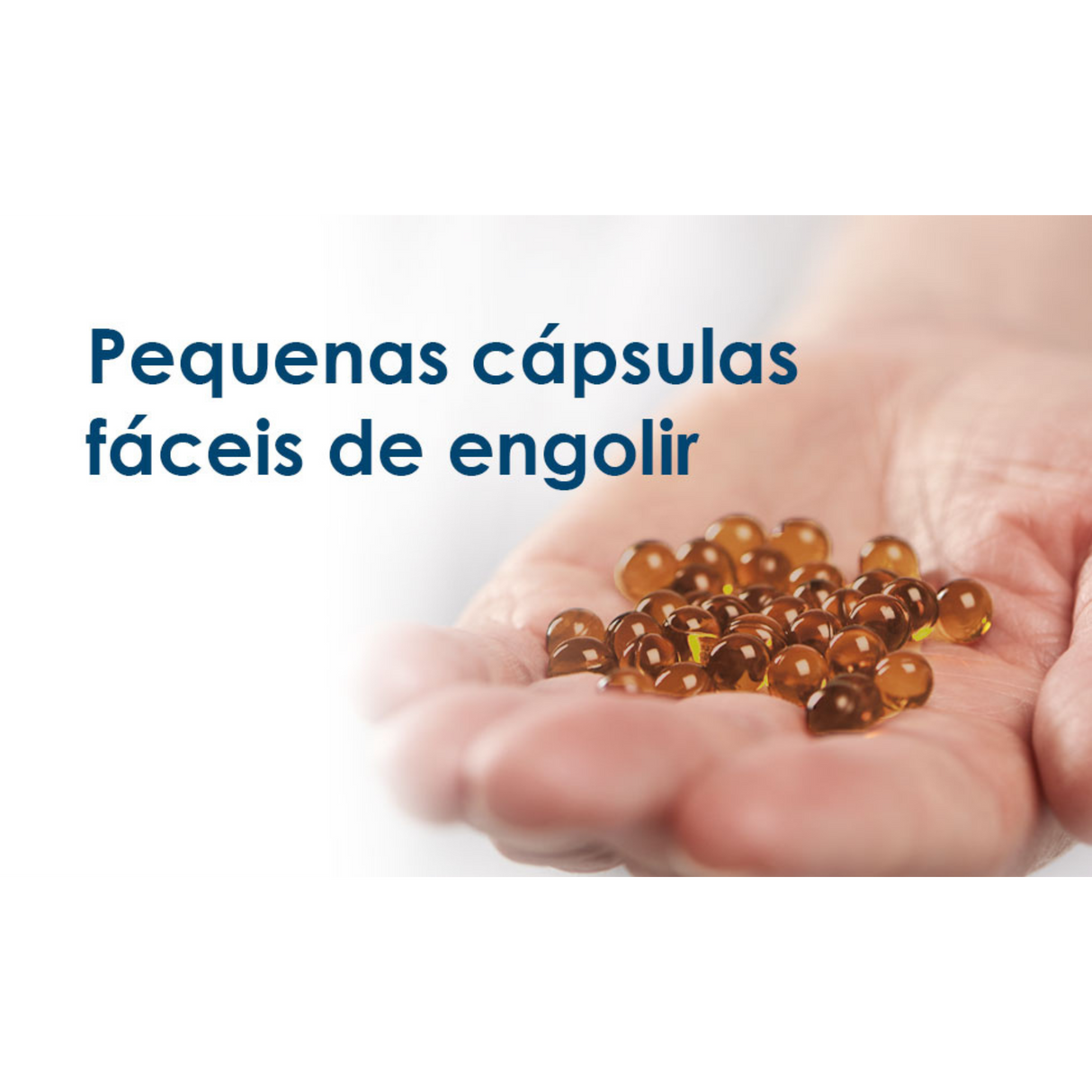 BioActivo D-Pearls® Phyto 80cap - Pharma Nord