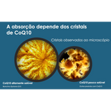 BioActivo Quinona Q10 30mg 60cap - Pharma Nord