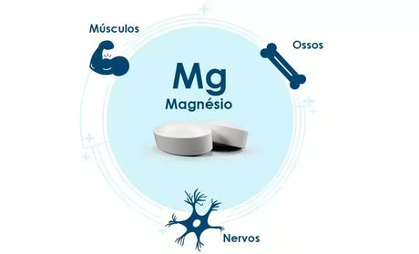 Bioactivo-Magnesio-3.webp