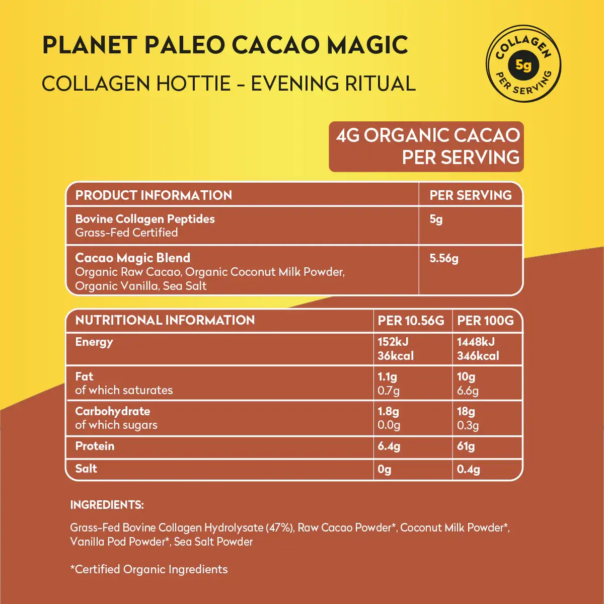 Cacao_Magic_4.webp