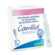 Camilia.webp