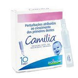 Camilia.webp