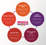 Mega Sporebiotic 60cap - Microbiome Labs