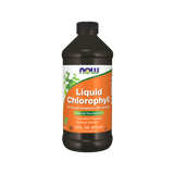 Chlorophyll Liquid Mint 473ml – Now Foods