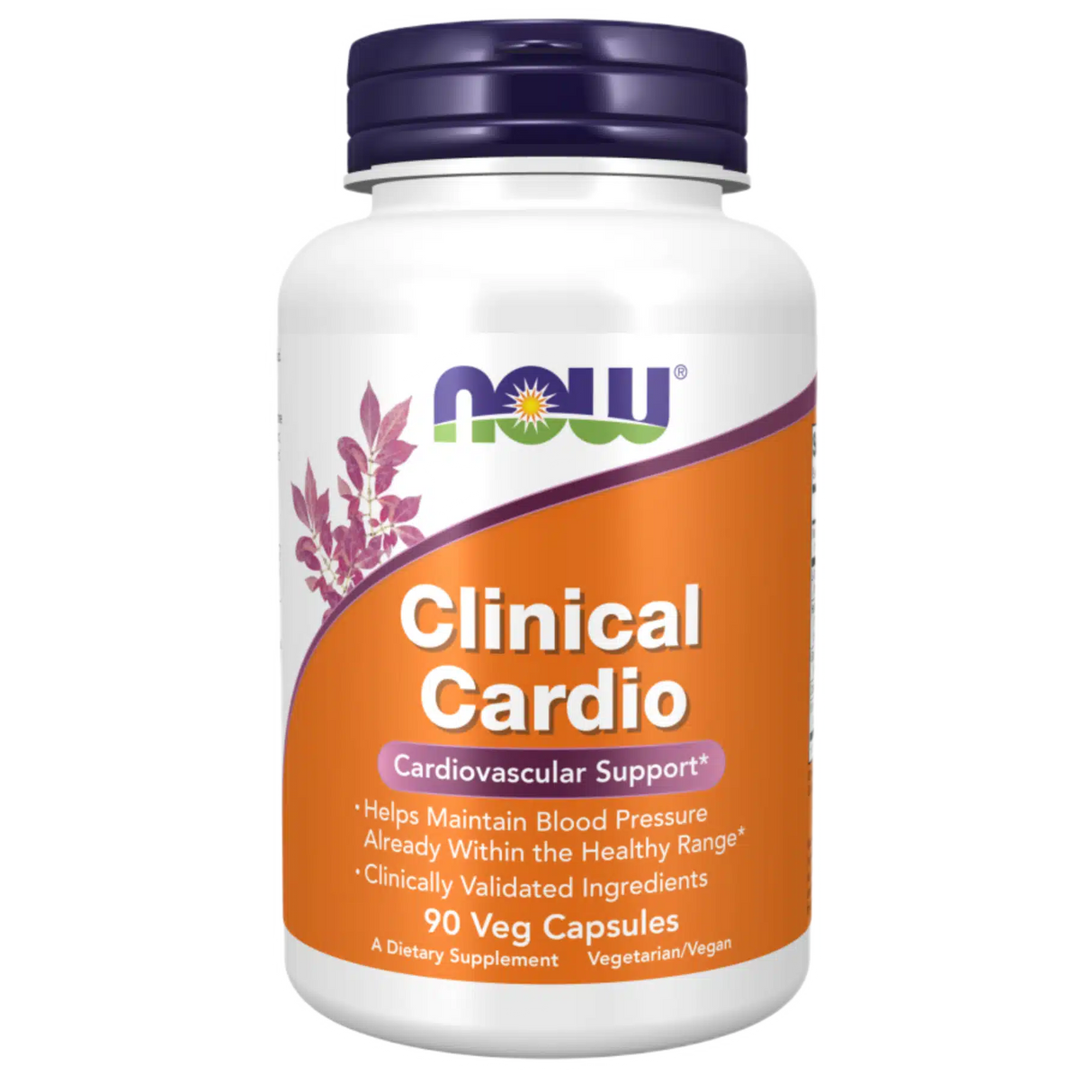 Clinical-Cardio-1.webp